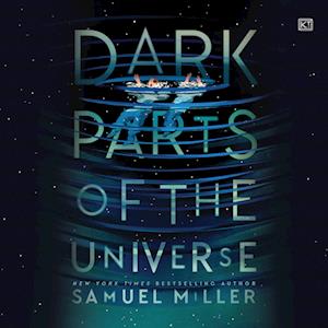 Dark Parts of the Universe