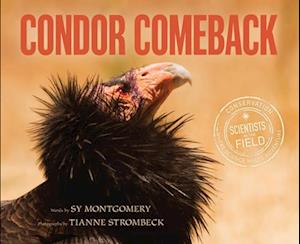 Condor Comeback