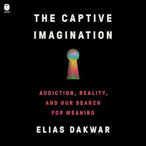 The Captive Imagination