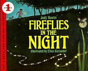 Fireflies in the Night