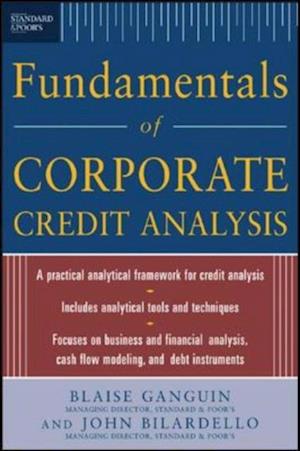 Standard & Poor's Fundamentals of Corporate Credit Analysis