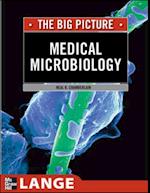 Medical Microbiology: The Big Picture