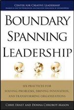 Boundary Spanning Leadership (PB)