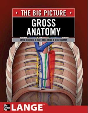 Gross Anatomy: The Big Picture, Second Edition, SMARTBOOK(TM)