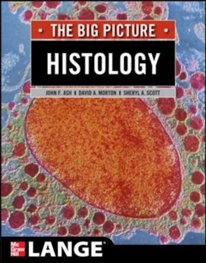 Histology: The Big Picture