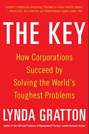 Key: How Corporations Succeed by Solving the World's Toughest Problems