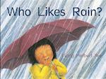 Who Likes Rain? Little Book