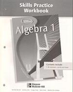 Algebra 1 Skills Practice Workbook