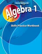 Algebra 1, Skills Practice Workbook