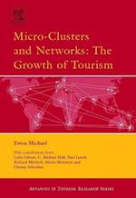 Micro-Clusters and Networks
