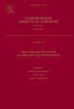 Analysis and Detection by Capillary Electrophoresis