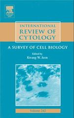 International Review of Cytology