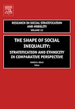 Shape of Social Inequality