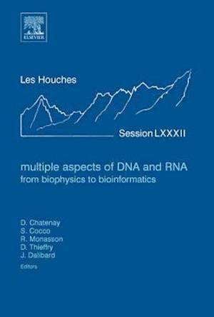 Multiple Aspects of DNA and RNA: from Biophysics to Bioinformatics