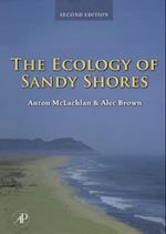 Ecology of Sandy Shores