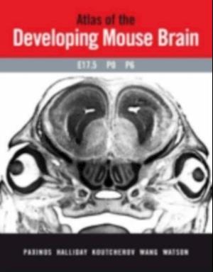 Atlas of the Developing Mouse Brain at E17.5, P0 and P6