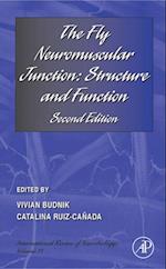 Fly Neuromuscular Junction: Structure and Function