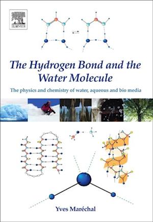 Hydrogen Bond and the Water Molecule
