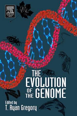 Evolution of the Genome