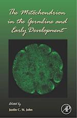Mitochondrion in the Germline and Early Development