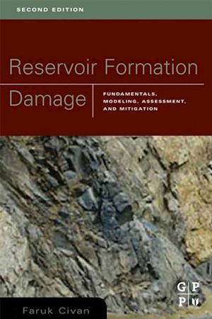 Reservoir Formation Damage