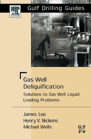 Gas Well Deliquification