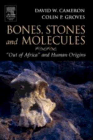 Bones, Stones and Molecules