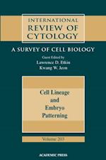Cell Lineage and Embryo Patterning