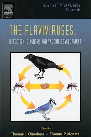 Flaviviruses: Detection, Diagnosis and Vaccine Development