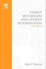 Energy Metabolism and Lifespan Determination