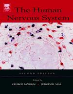 Human Nervous System