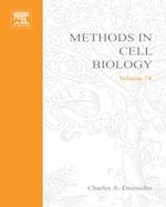 Development of Sea Urchins, Ascidians, and Other Invertebrate Deuterostomes: Experimental Approaches