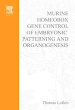 Murine Homeobox Gene Control of Embryonic Patterning and Organogenesis