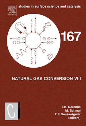 Natural Gas Conversion VIII