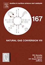 Natural Gas Conversion VIII