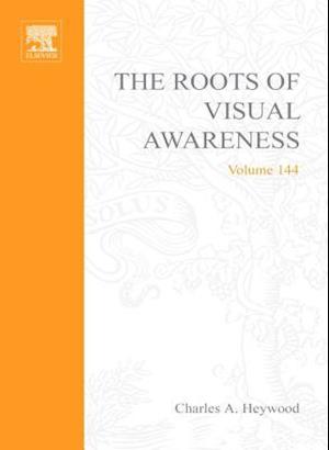 Roots of Visual Awareness