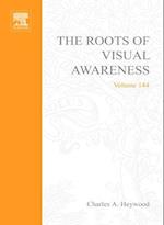 Roots of Visual Awareness