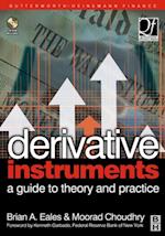 Derivative Instruments