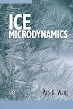 Ice Microdynamics