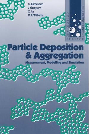 Particle Deposition and Aggregation