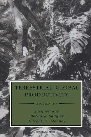 Terrestrial Global Productivity