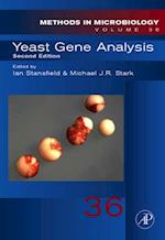 Yeast Gene Analysis
