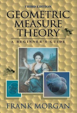 Geometric Measure Theory