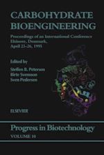 Carbohydrate Bioengineering