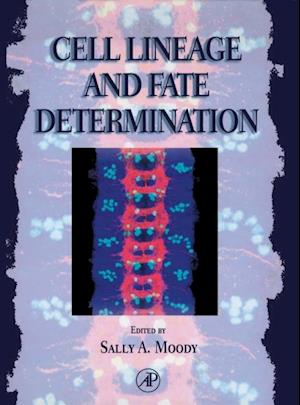 Cell Lineage and Fate Determination