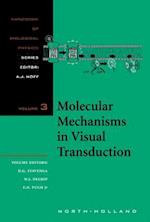 Molecular Mechanisms in Visual Transduction