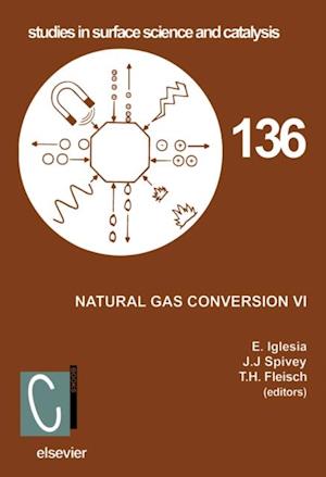 Natural Gas Conversion VI