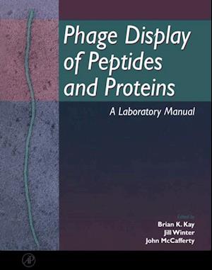 Phage Display of Peptides and Proteins