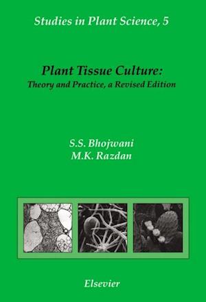 Plant Tissue Culture: Theory and Practice