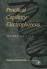 Practical Capillary Electrophoresis